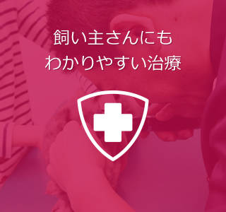 飼い主さんにもわかりやすい治療