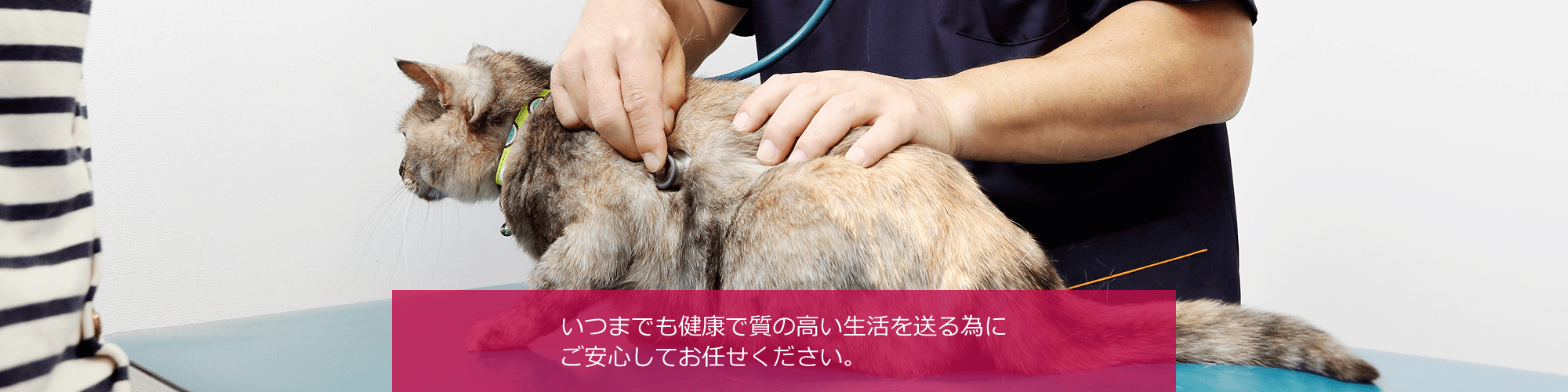 いつまでも健康で質の高い生活を送る為にご安心してお任せください。